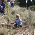 Castellón, nace un niño, nace un árbol