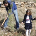 Castellón, nace un niño, nace un árbol