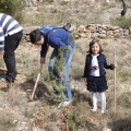 Castellón, nace un niño, nace un árbol