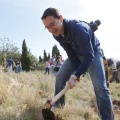 Castellón, nace un niño, nace un árbol
