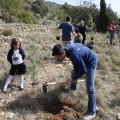 Castellón, nace un niño, nace un árbol