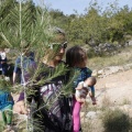 Castellón, nace un niño, nace un árbol