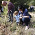 Castellón, nace un niño, nace un árbol