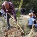 Castellón, nace un niño, nace un árbol