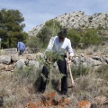 Castellón, nace un niño, nace un árbol