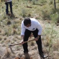 Castellón, nace un niño, nace un árbol