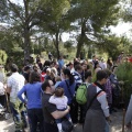 Castellón, nace un niño, nace un árbol