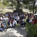 Castellón, nace un niño, nace un árbol