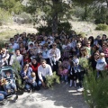 Castellón, nace un niño, nace un árbol