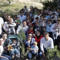 Castellón, nace un niño, nace un árbol