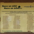 Castellón, nace un niño, nace un árbol