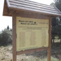 Castellón, nace un niño, nace un árbol