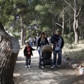 Castellón, nace un niño, nace un árbol