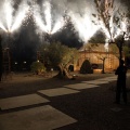 Trendy Ceremonias