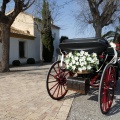 Trendy Ceremonias