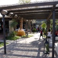 Trendy Ceremonias