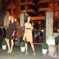 Desfile moda en Brunch