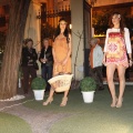 Desfile moda en Brunch
