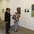 Castellón, exposición Miquel Peris