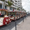 Castellón, Copa Davis, Oropesa del Mar