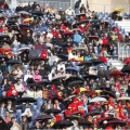 Castellón, Copa Davis, Oropesa del Mar