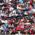 Castellón, Copa Davis, Oropesa del Mar
