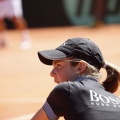 Copa Davis
