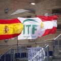 Copa Davis