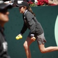 Copa Davis