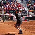Copa Davis