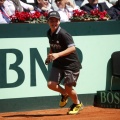Copa Davis