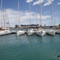 Jubilata´s Cup 2012