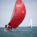 II Jubilata´s Cup
