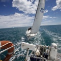 II Jubilata´s Cup