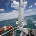 II Jubilata´s Cup
