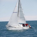 II Jubilata´s Cup