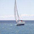 II Jubilata´s Cup
