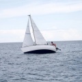 II Jubilata´s Cup