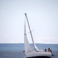 II Jubilata´s Cup