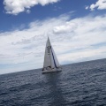 II Jubilata´s Cup