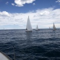 II Jubilata´s Cup
