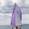 II Jubilata´s Cup