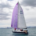 II Jubilata´s Cup
