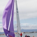 II Jubilata´s Cup