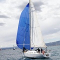 II Jubilata´s Cup