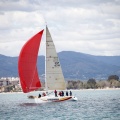 II Jubilata´s Cup