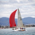 II Jubilata´s Cup