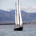 II Jubilata´s Cup