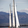 II Jubilata´s Cup