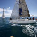 II Jubilata´s Cup